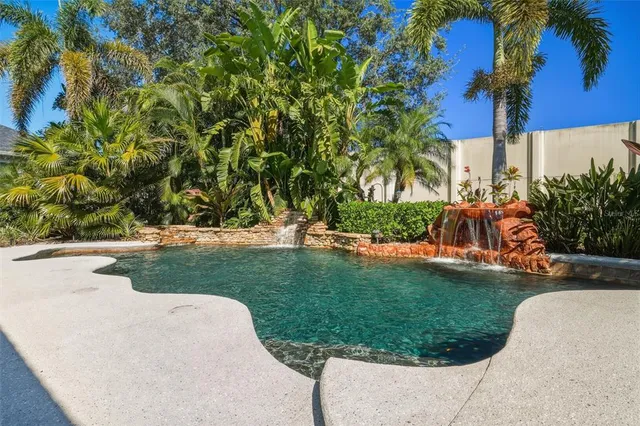 a view of a backyard with table and chairs plants and palm trees