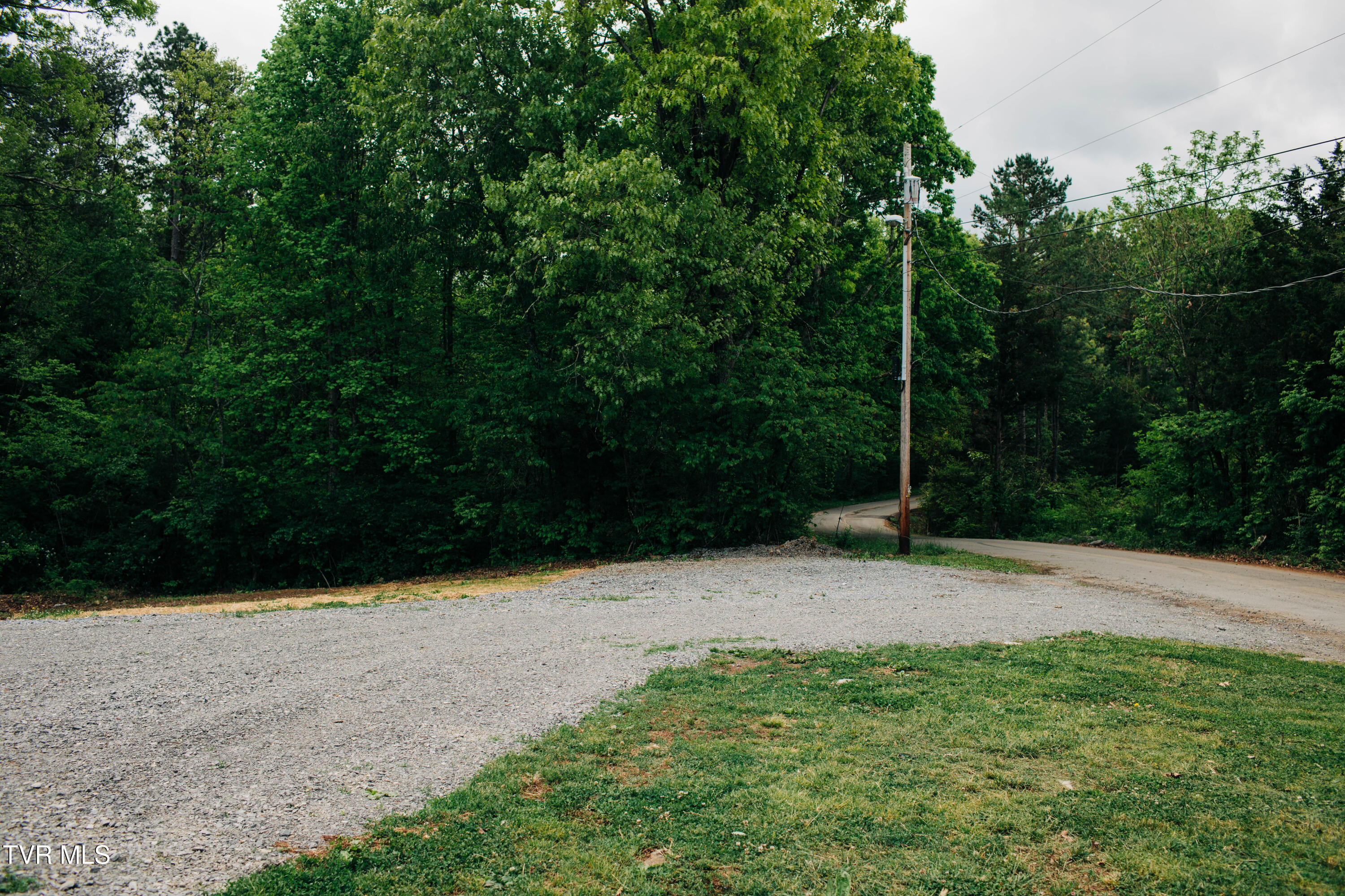 613 Timber Ridge Road Bluff City, TN 37618 - Photo 19 of 21 5V3A7983