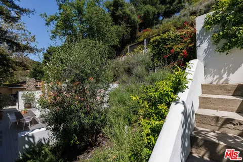 a view of a yard with plants and large trees