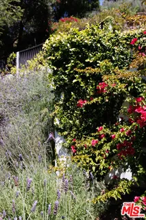 view of outdoor space