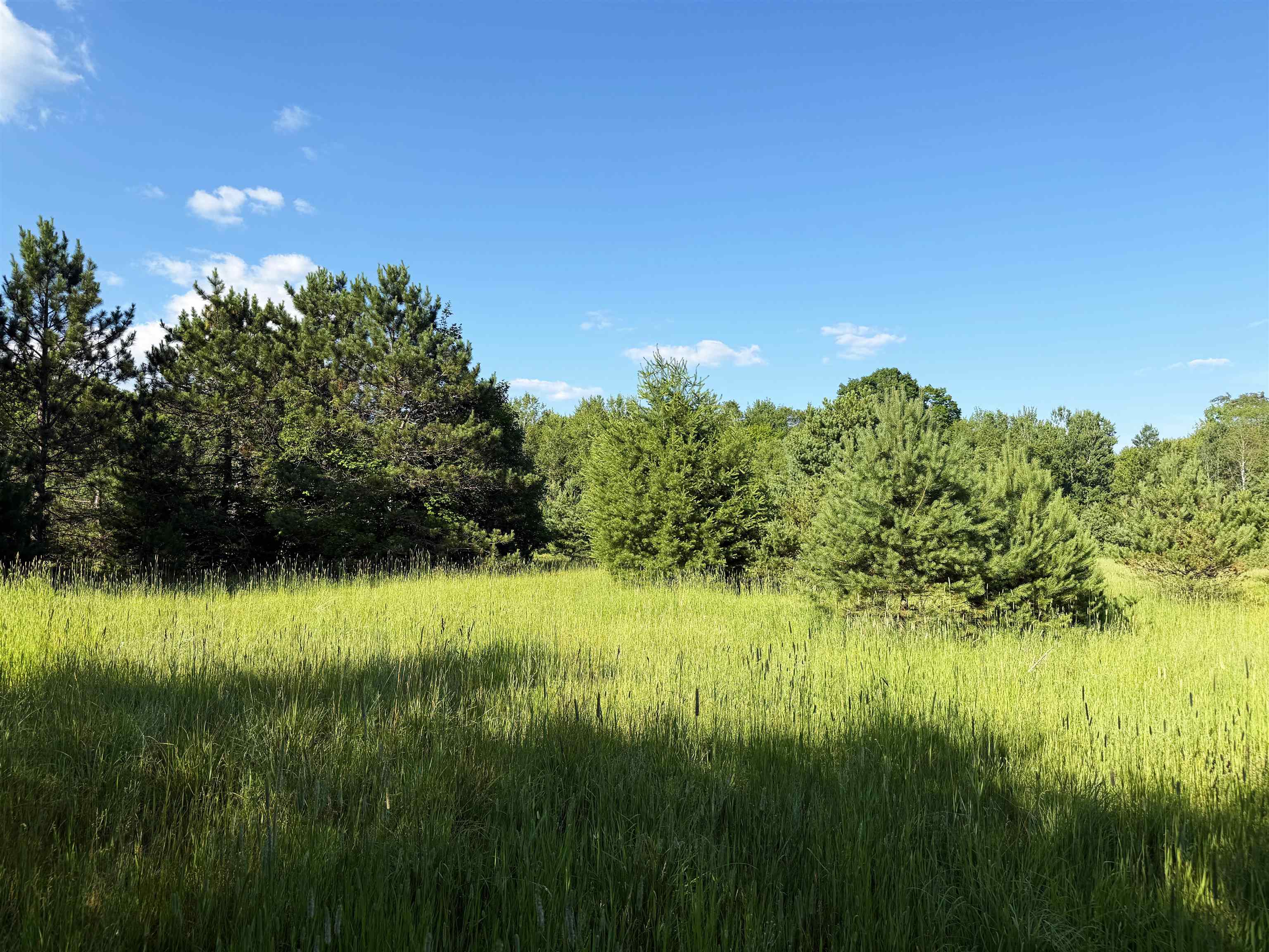 1783 West Sharon Road Fife Lake, MI 49633 - Photo 56 of 71 1947890-ad269cab-a64d-4cf8-a0ca-fe63fe50f057.JPG