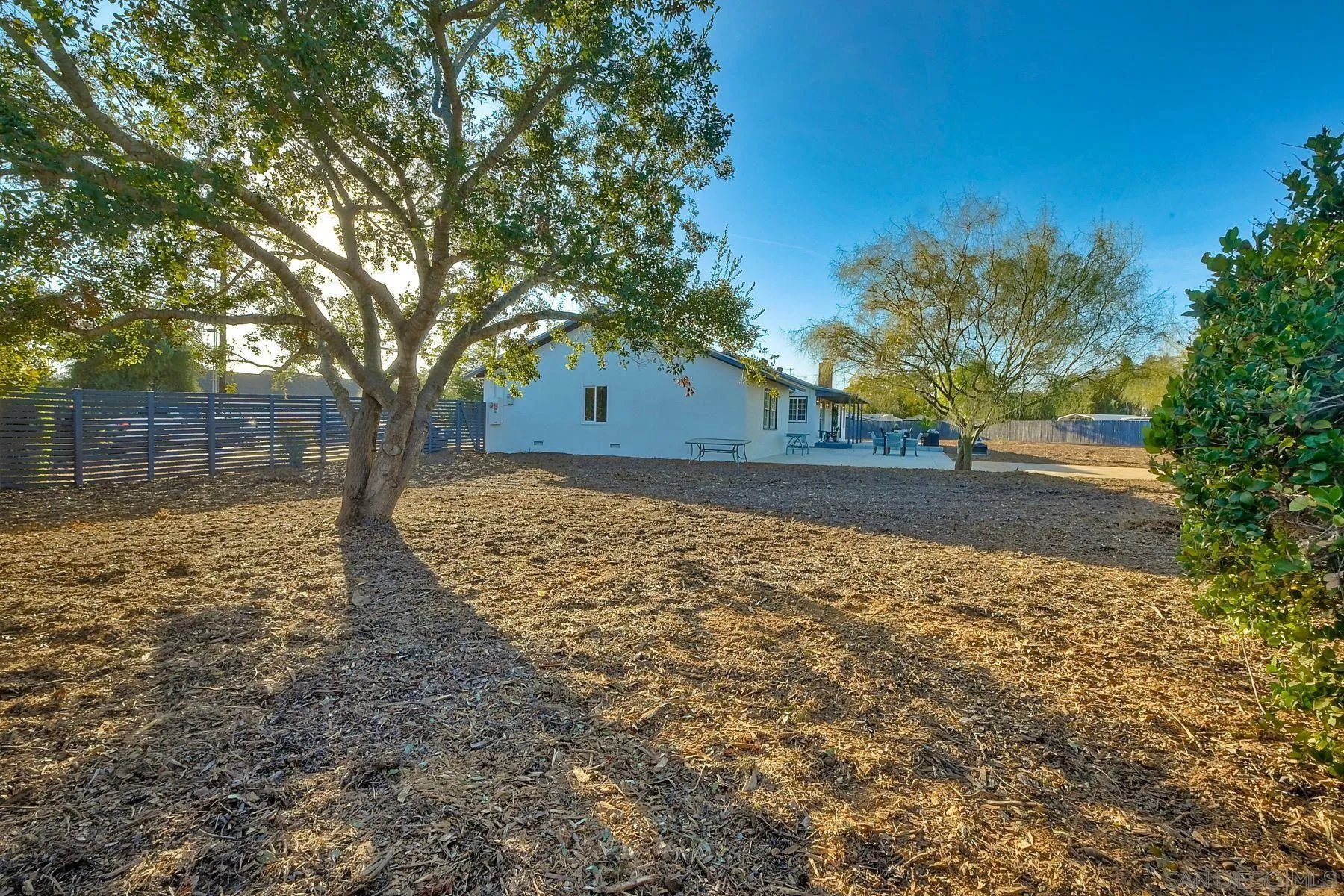 730 Montview Drive Escondido, CA 92025 - Photo 31 of 47 a view of a yard with plants and trees