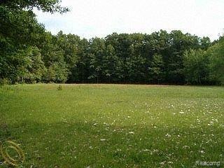 44321 Harris Road Belleville, MI 48111 - Photo 5 of 5 back pasture