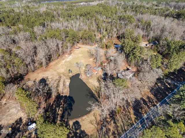 a view of a forest with trees