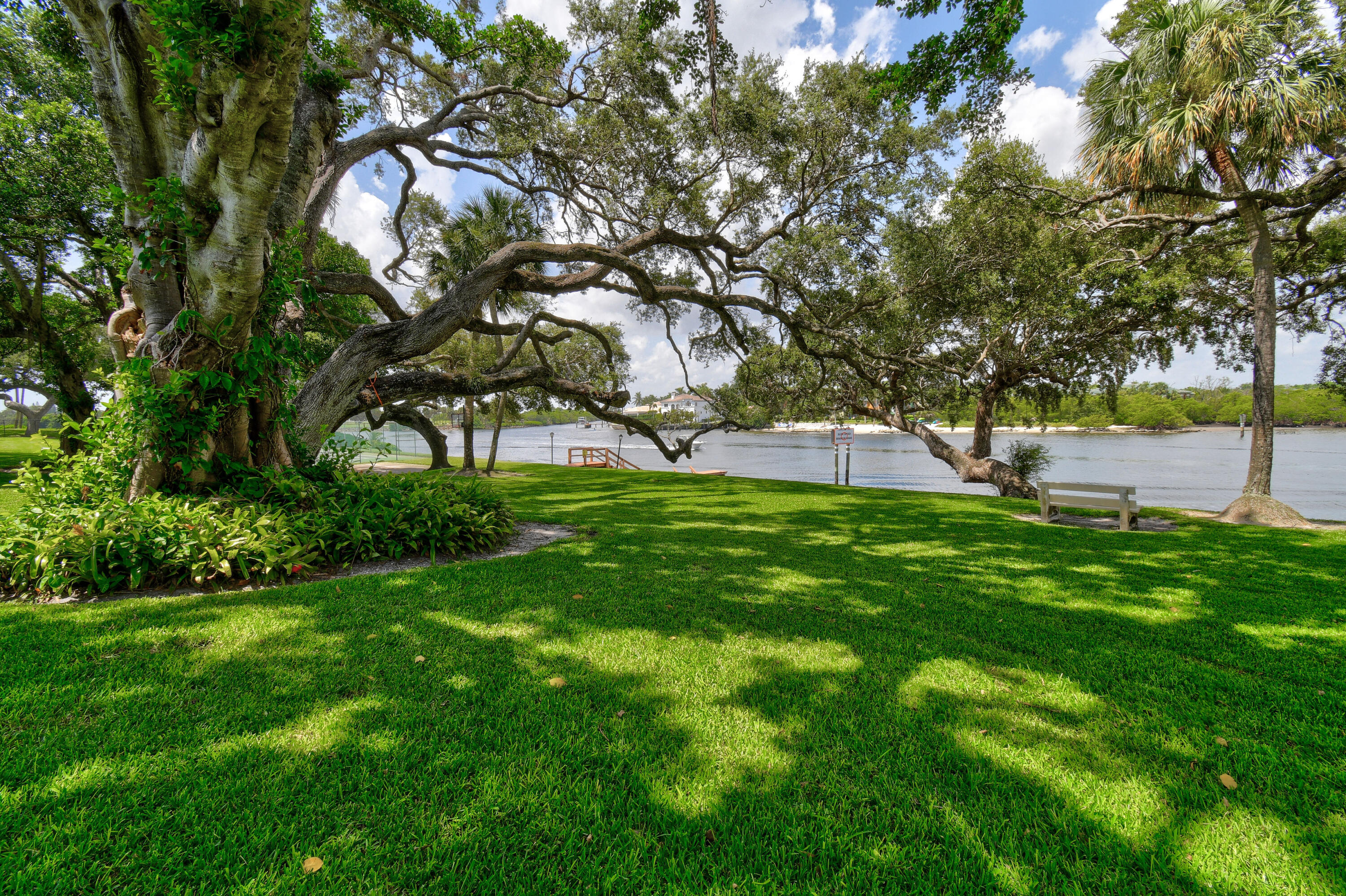 396 Golfview Road, Unit E North Palm Beach, FL 33408 - Photo 27 of 45 a view of yard with tree and green space