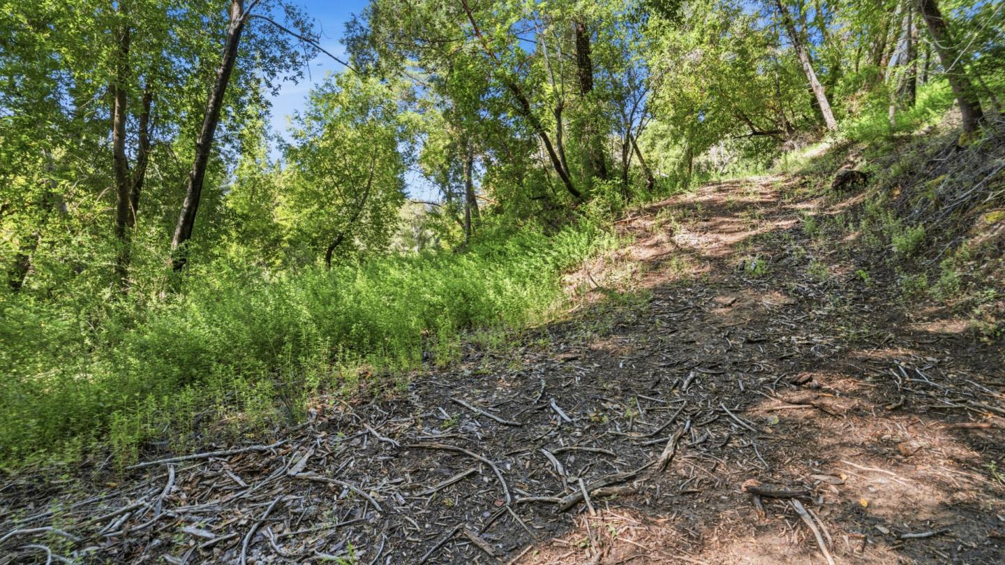 360 Rincon Way Boulder Creek, CA 95006 - Photo 18 of 46