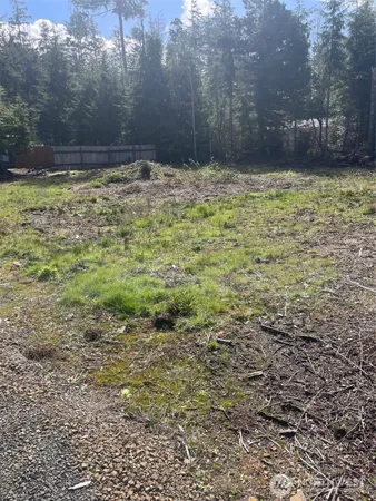 a view of a yard