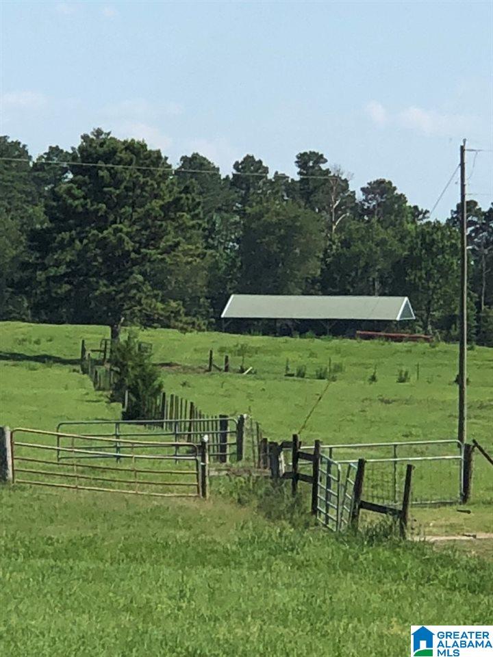 472 County Road 99 Verbena, AL 36091 - Photo 48 of 49