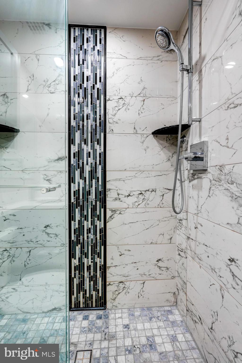 1900 Lyttonsville Road, Unit 211 Silver Spring, MD 20910 - Photo 26 of 46 a bathroom with a shower