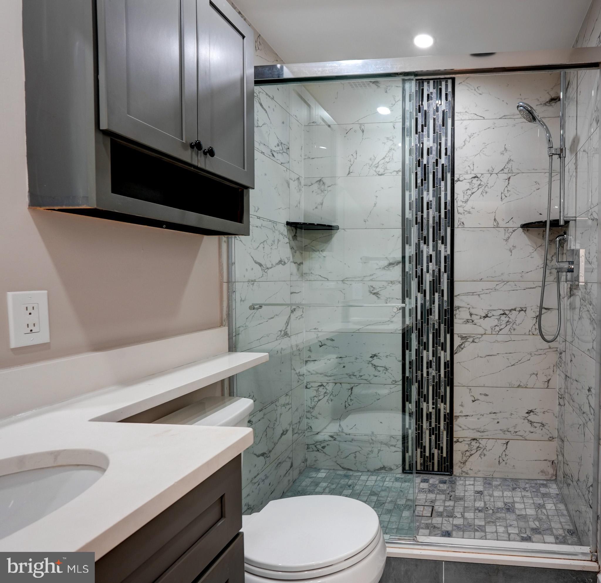 1900 Lyttonsville Road, Unit 211 Silver Spring, MD 20910 - Photo 29 of 46 a bathroom with a sink a toilet and shower
