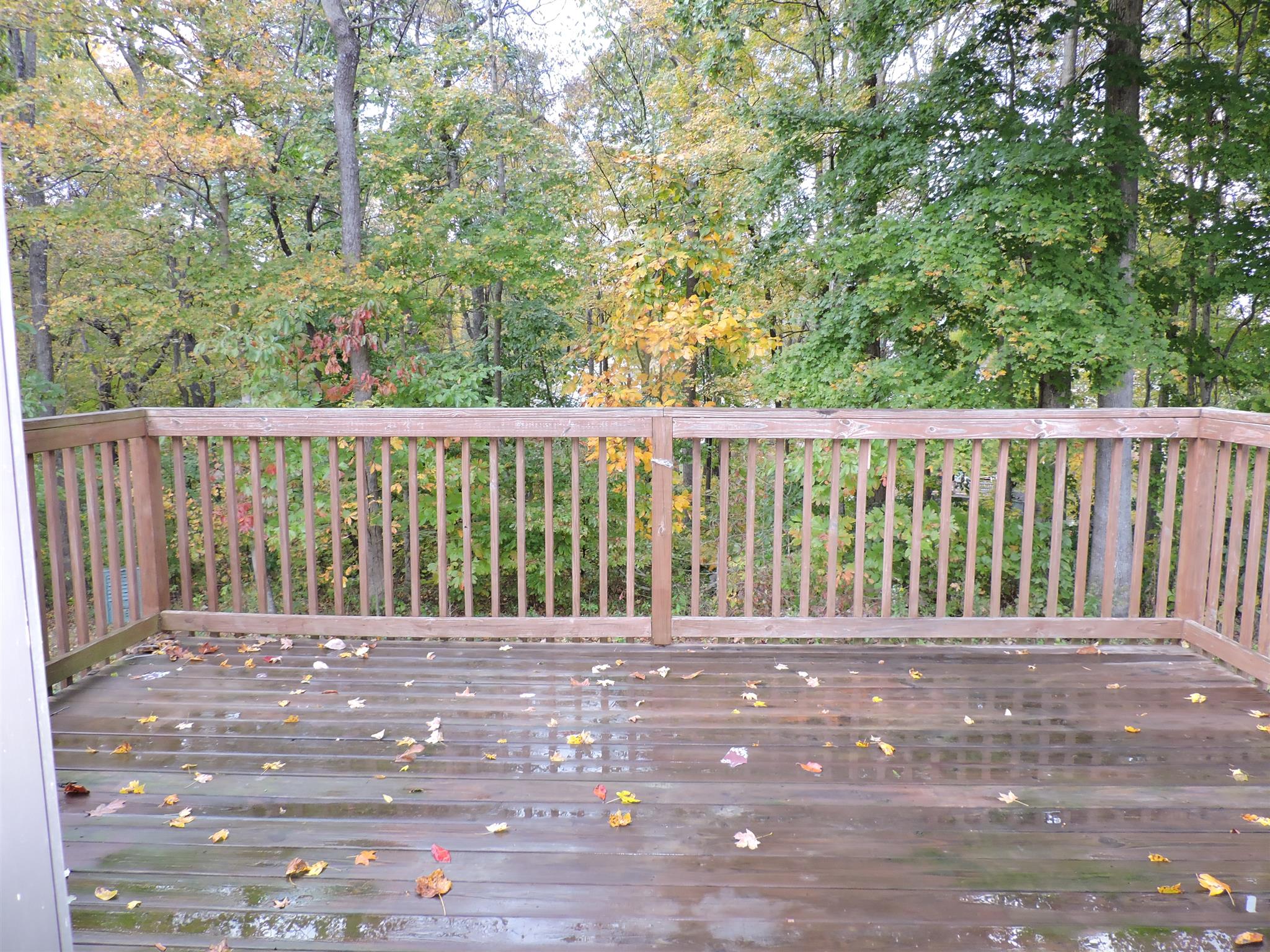 1725 Setter Road Clarksville, TN 37042 - Photo 22 of 23 Gallery Image 22