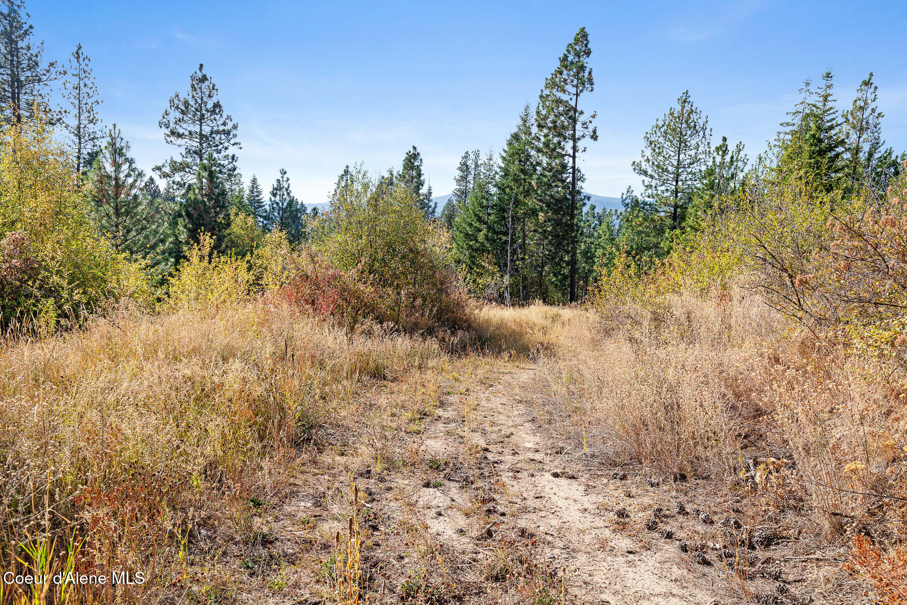 Nka Nka Church Rathdrum, ID 83858 - Photo 15 of 16 NKANChurchRd-2