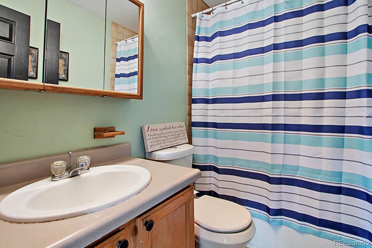 191 Renaud Road Bailey, CO 80421 - Photo 12 of 28 a bathroom with a sink a toilet and shower curtain