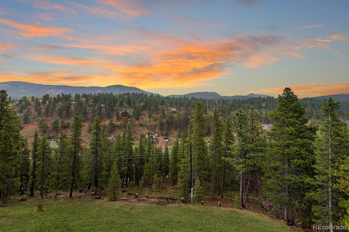 191 Renaud Road Bailey, CO 80421 - Photo 2 of 28 a view of a city with lush green forest