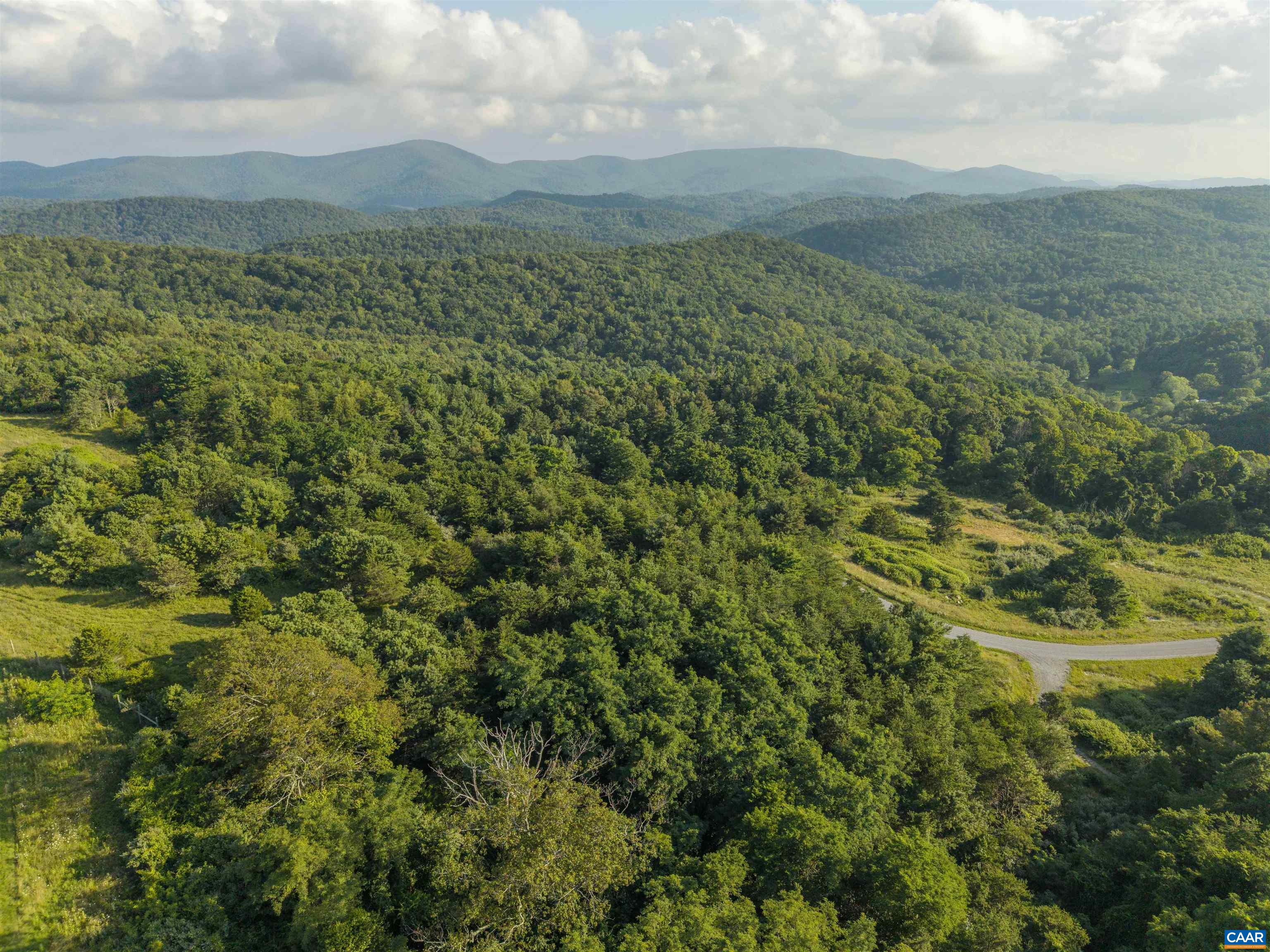 Lot 7 Twelve Rdgs Way Vesuvius, VA 24483 - Photo 4 of 10 a view of a big yard with lots of trees