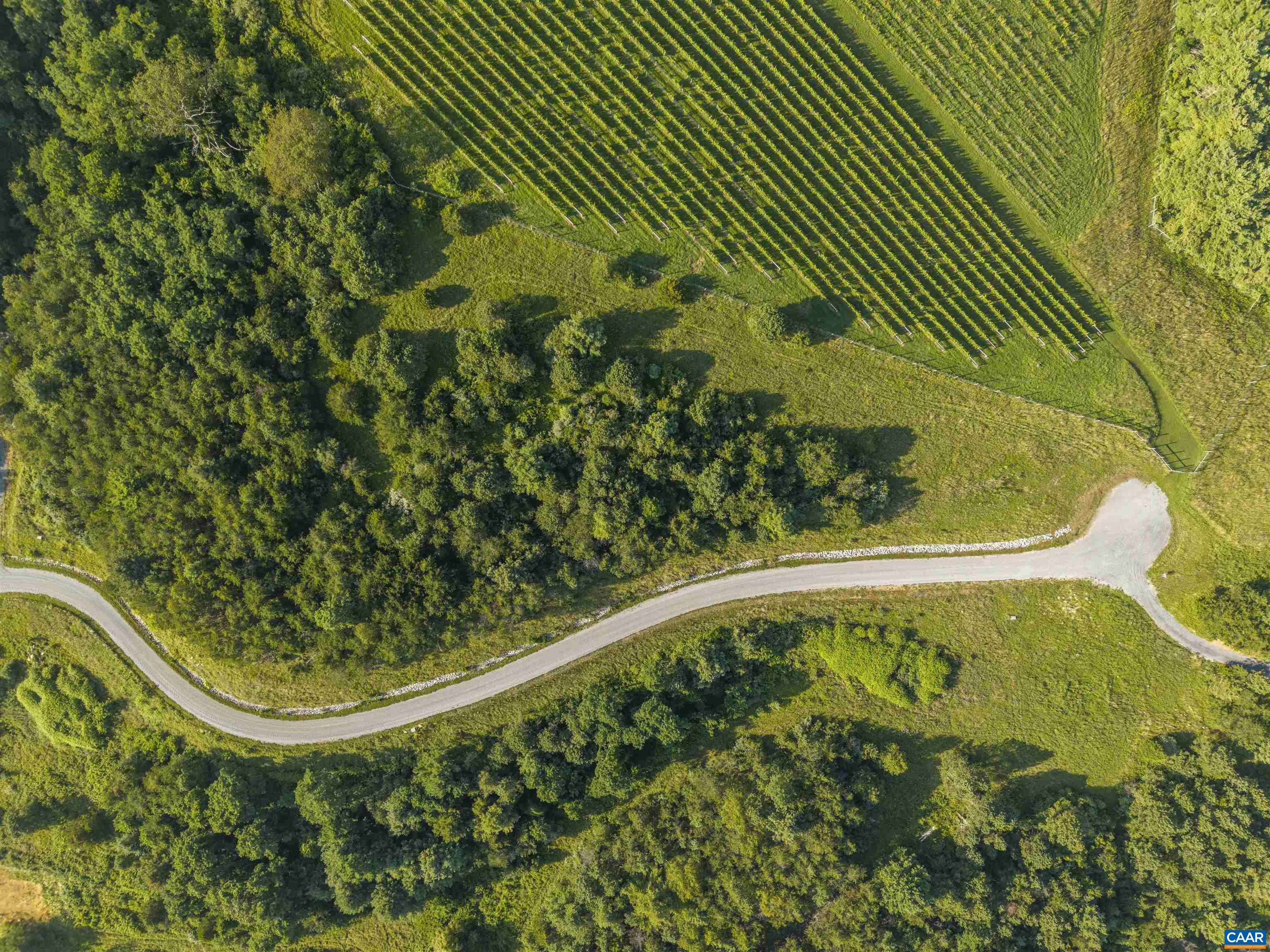 Lot 7 Twelve Rdgs Way Vesuvius, VA 24483 - Photo 7 of 10 a view of a swimming pool from a balcony