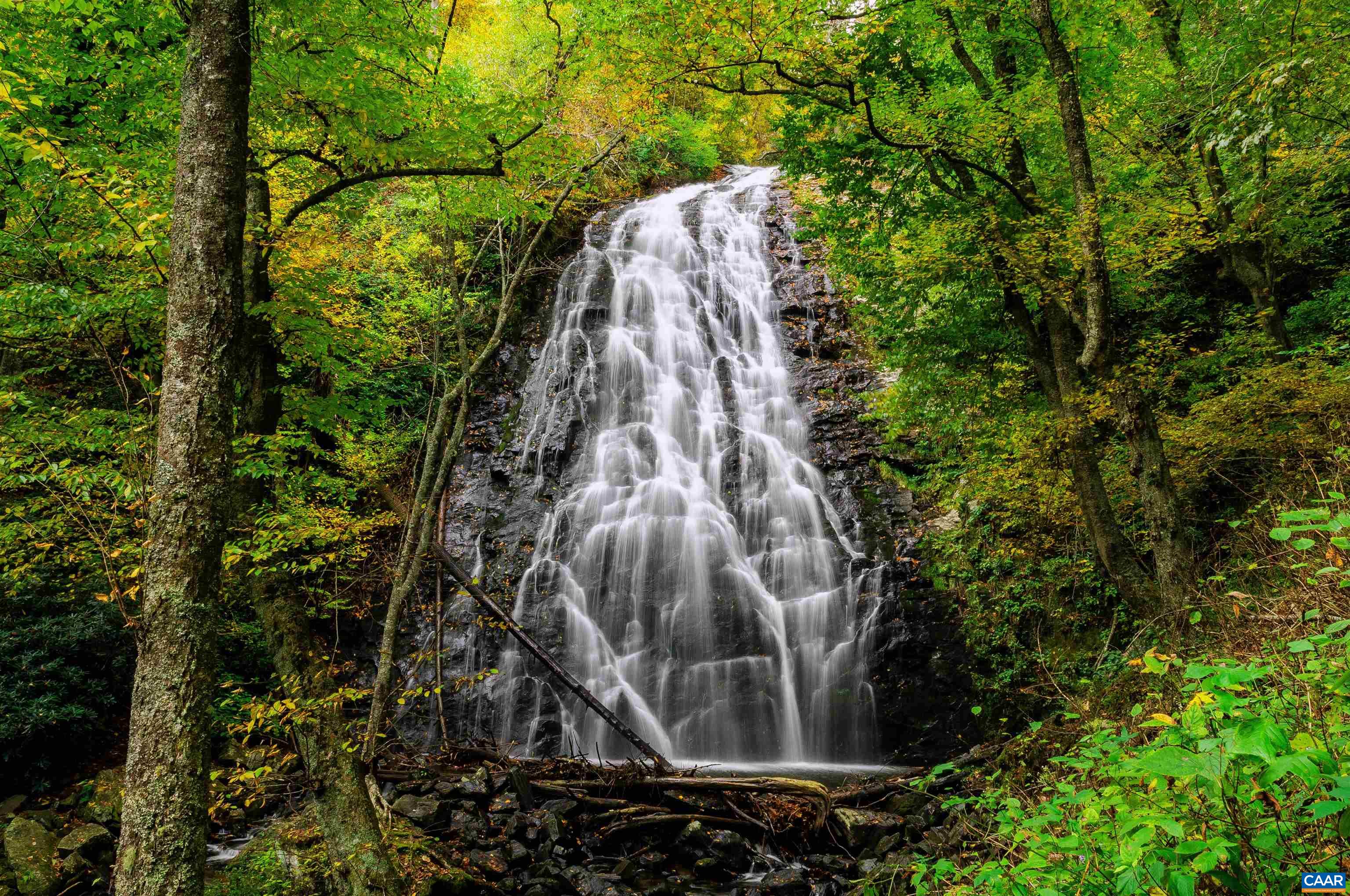 Lot 7 Twelve Rdgs Way Vesuvius, VA 24483 - Photo 8 of 10 a view of a plant in a garden