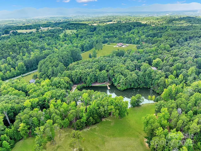 a view of a lush green forest with lots of trees