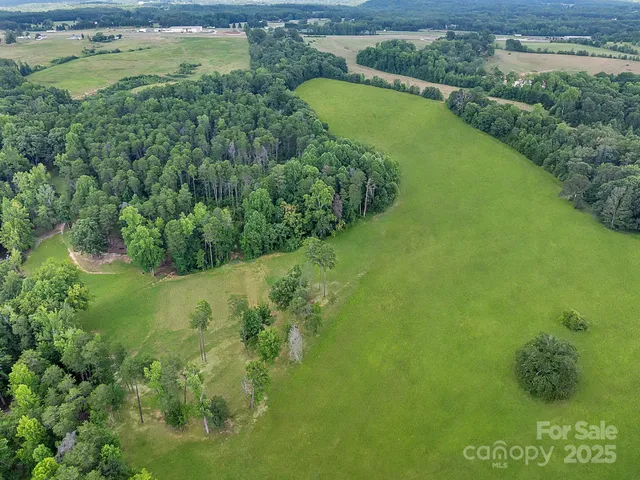 a view of a garden with a lake
