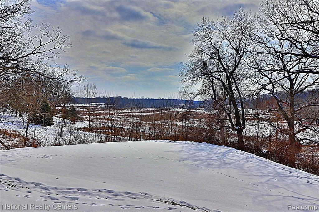 8290 Bergin Road Howell, MI 48843 - Photo 36 of 47