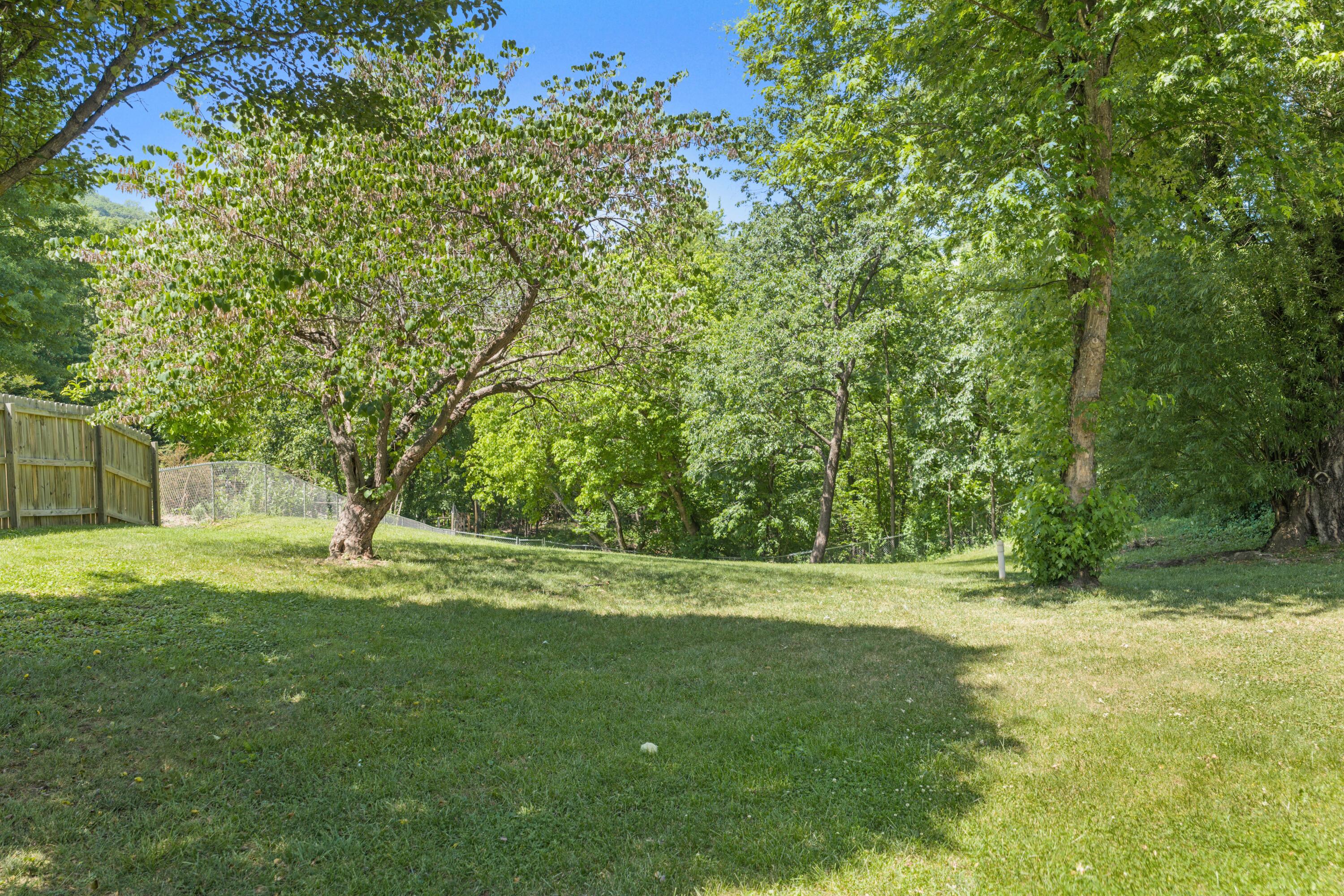 294 Ray Street Roanoke, VA 24019 - Photo 8 of 35 Fenced back yard