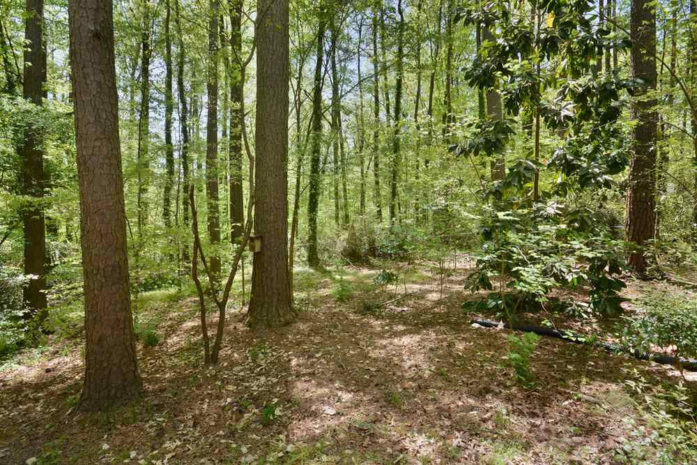 2735 Old Sugar Road Durham, NC 27707 - Photo 6 of 30 Photo 6