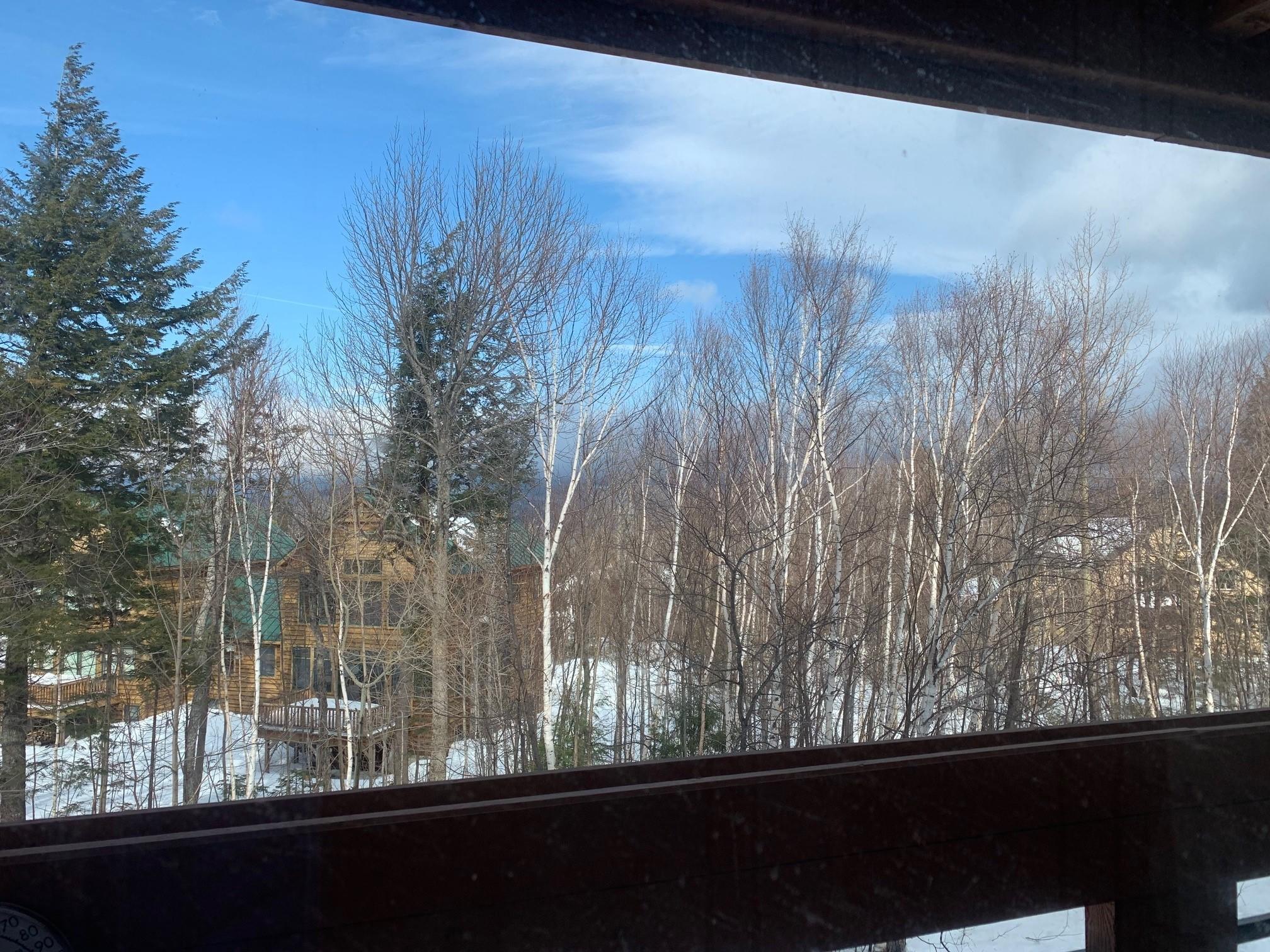 9 Mountain Side Road, Unit 9 Kingfield, ME 04947 - Photo 11 of 11 View