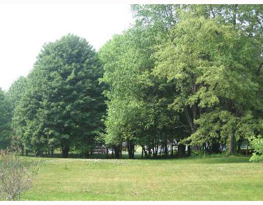 827 Ice Pond Road Leechburg, PA 15656 - Photo 7 of 8 Land.