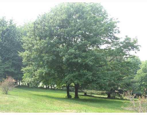827 Ice Pond Road Leechburg, PA 15656 - Photo 8 of 8 Land.