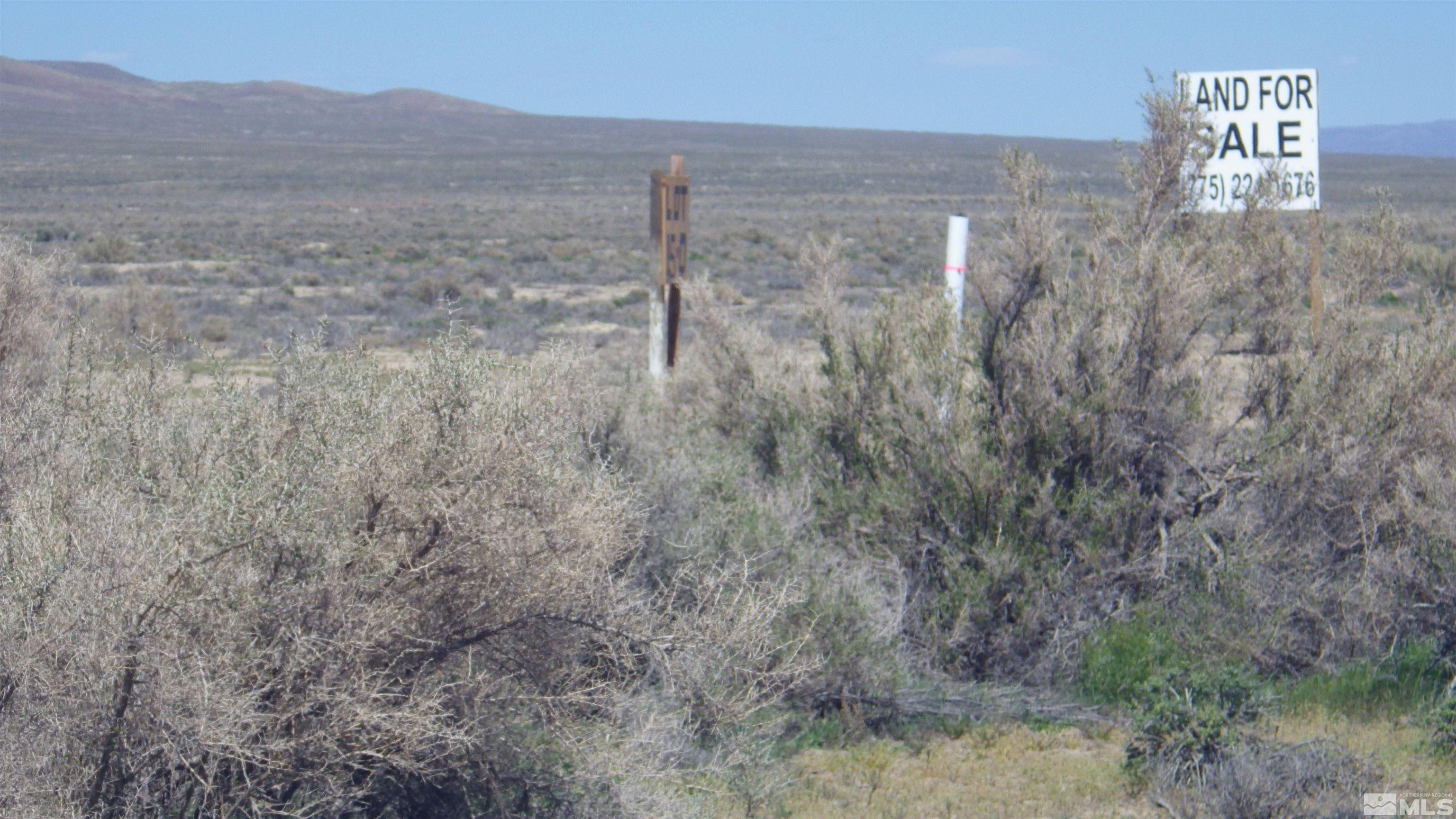 Bright Road, Unit 15A Golconda, NV 89414 - Photo 11 of 12 a view of a dry yard with mountain view and wooden floor
