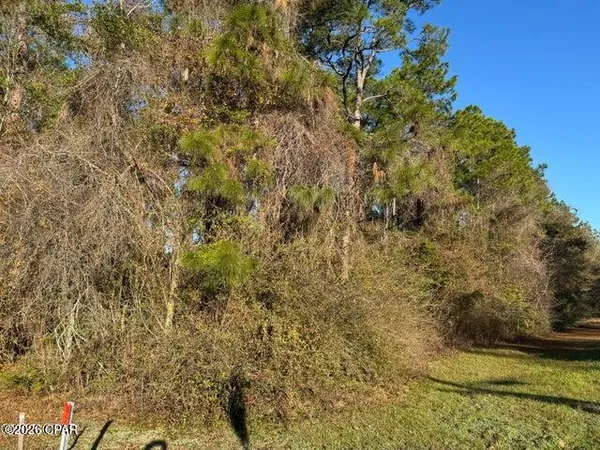 $69,000 | 0 South Boulevard, Chipley, FL 32428