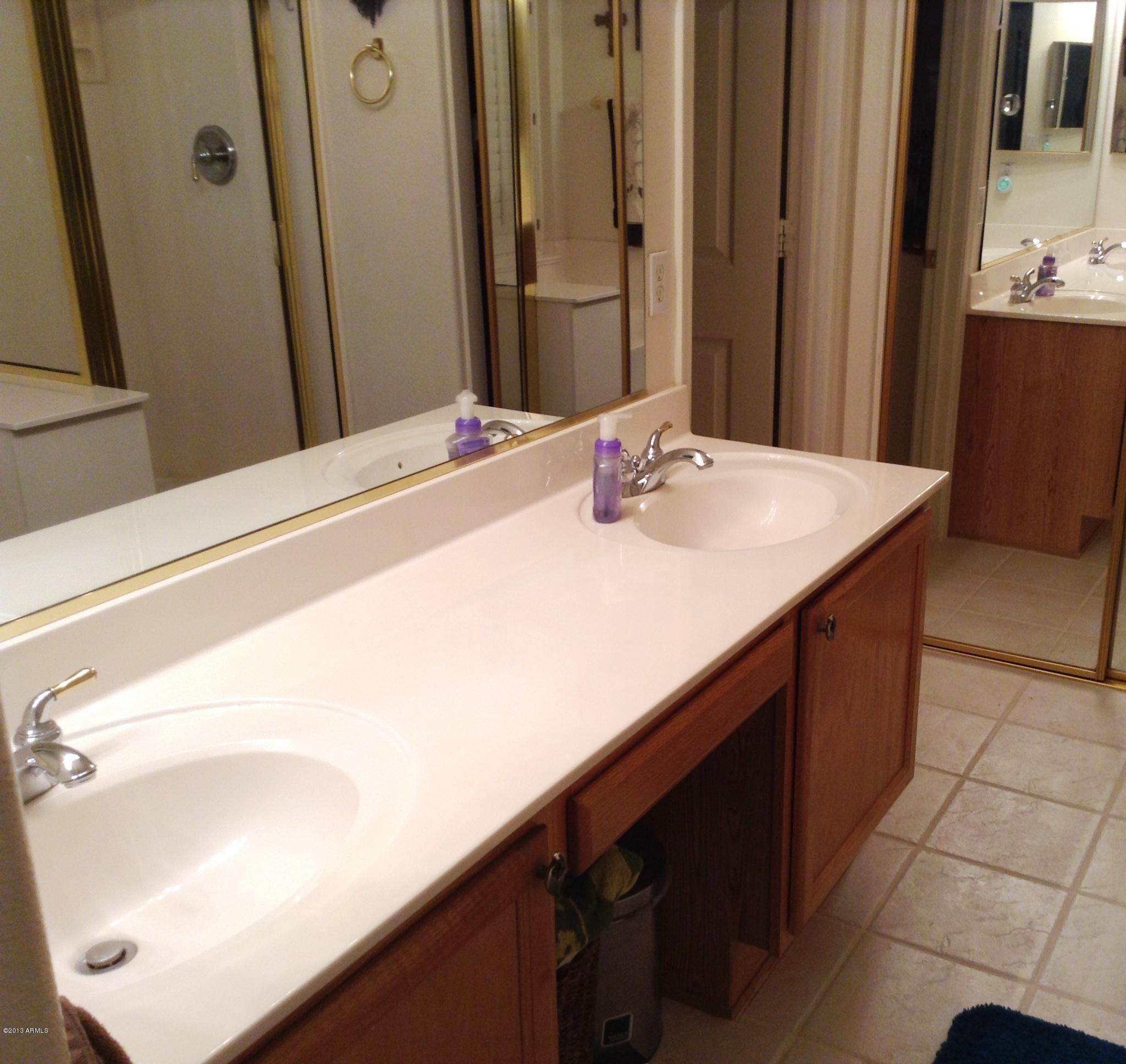 216 East Smoke Tree Road Gilbert, AZ 85296 - Photo 7 of 18 Dbl Sinks