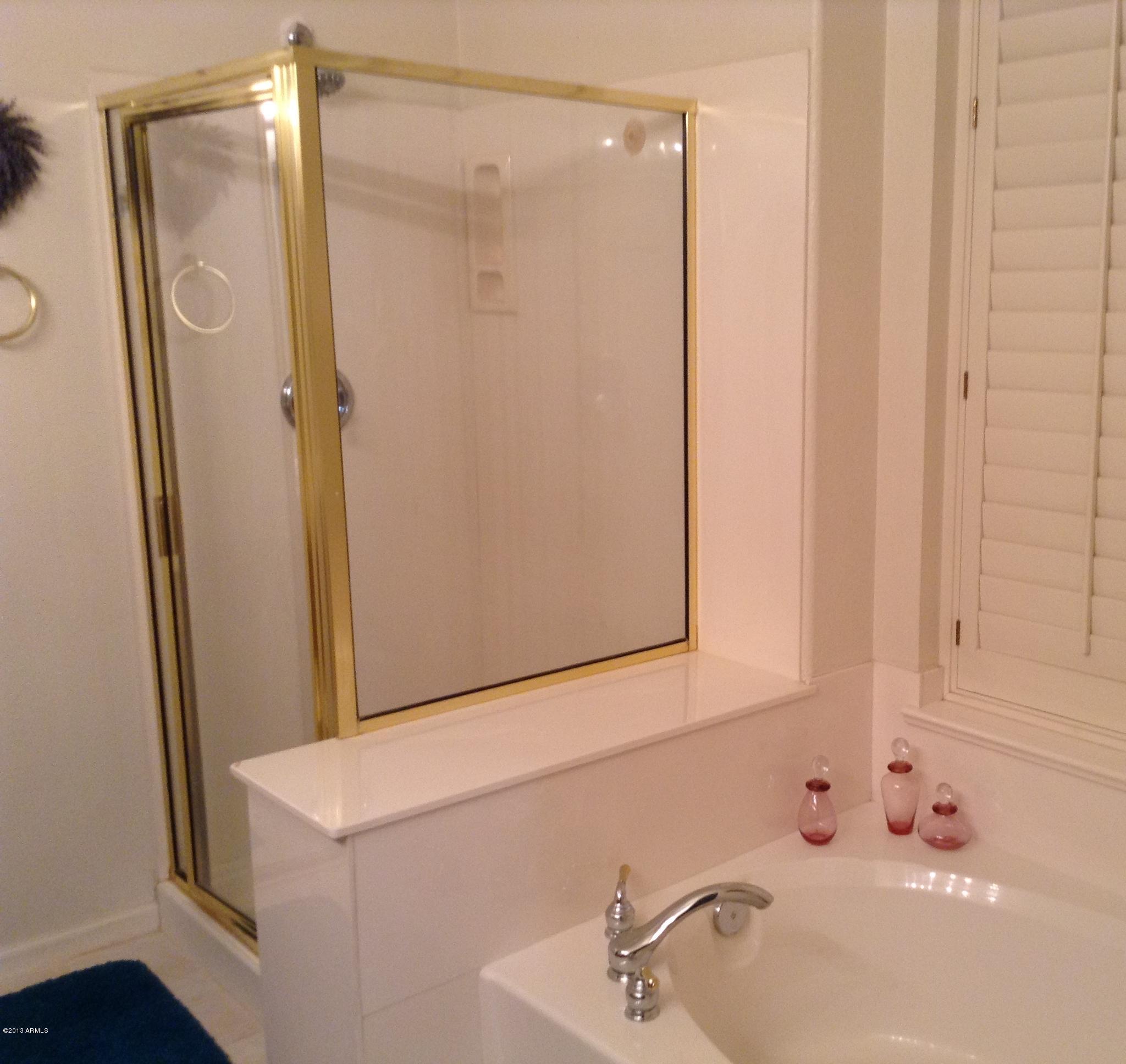 216 East Smoke Tree Road Gilbert, AZ 85296 - Photo 8 of 18 Separate bath and shower