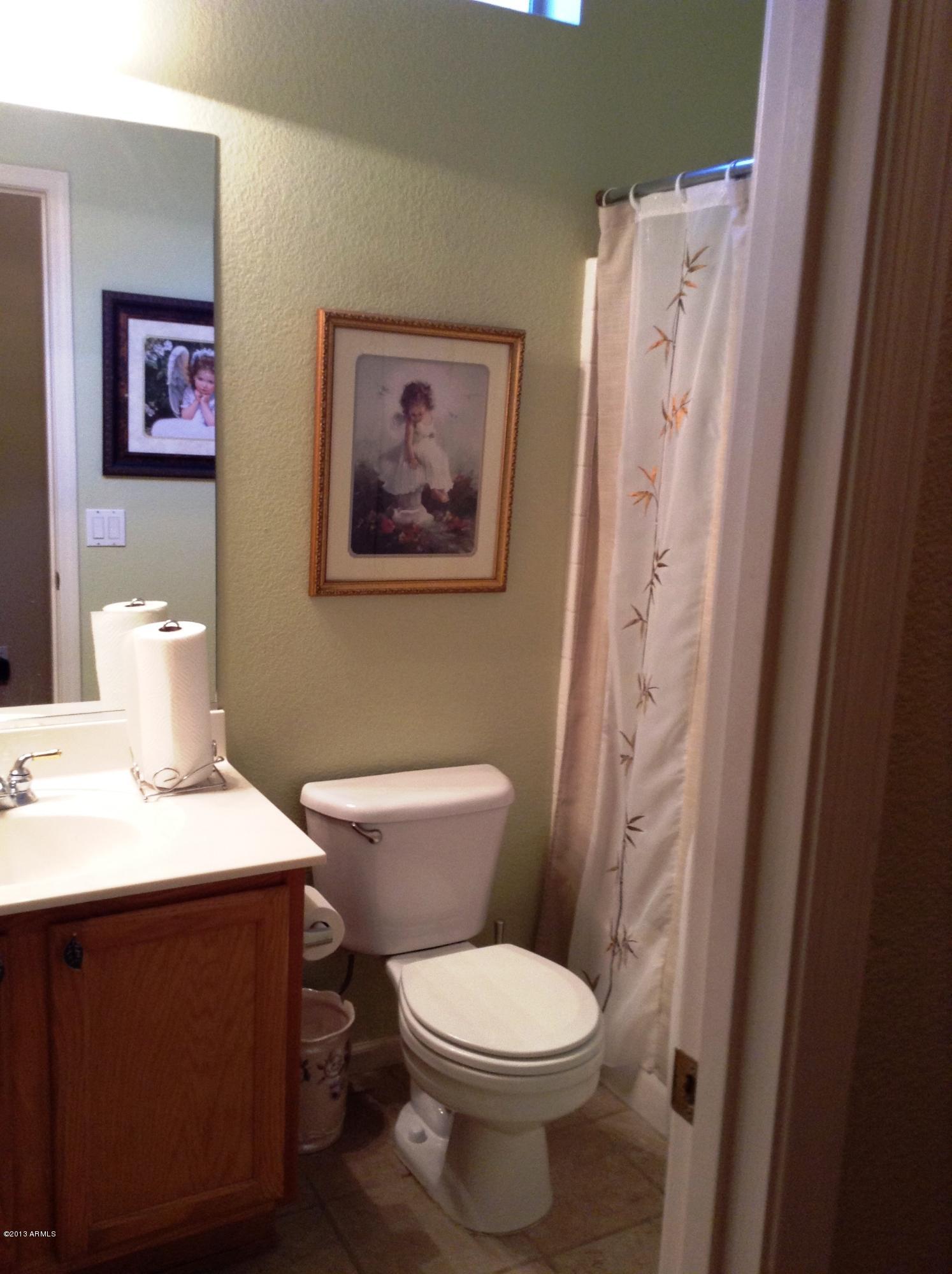216 East Smoke Tree Road Gilbert, AZ 85296 - Photo 10 of 18 Hall bath