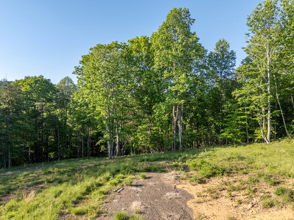 65-ac Dugspur Road, Unit 18 Dugspur, VA 24325 - Photo 19 of 68 Gallery Image 19