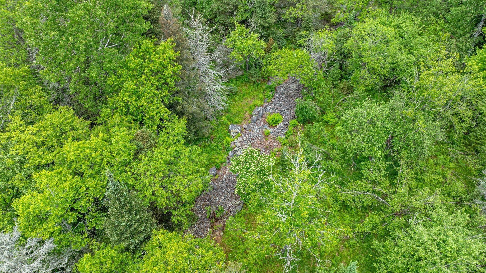 25615 Leo S Road Watton, MI 49970 - Photo 35 of 72