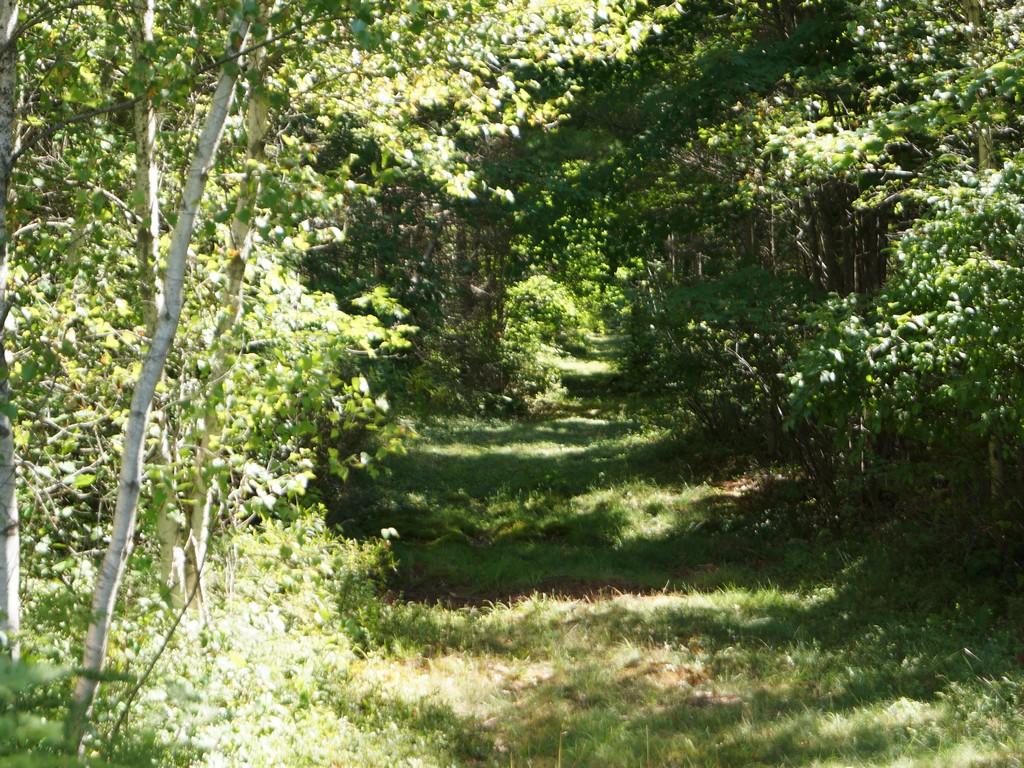 7 Middle Road Cherryfield, ME 04622 - Photo 40 of 41 DSC04666