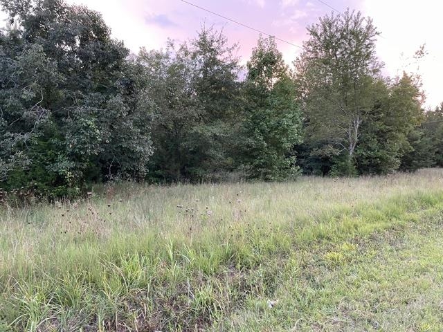 0 Sand Clay Road Chesnee, SC 29323 - Photo 1 of 3