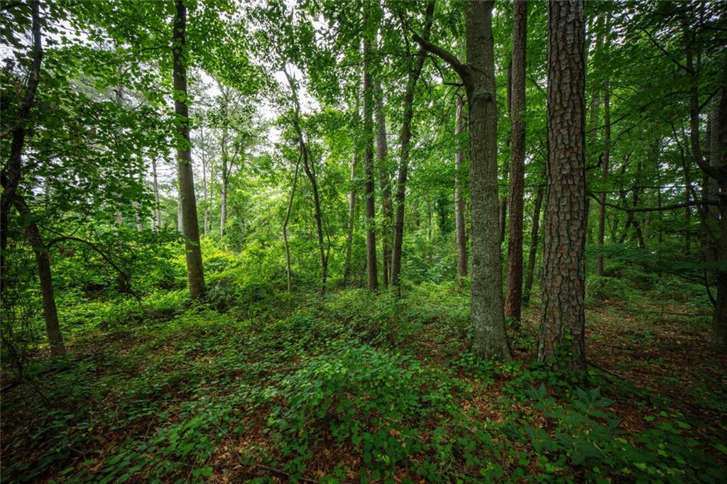 0 Gordon Court Winder, GA 30680 - Photo 6 of 9