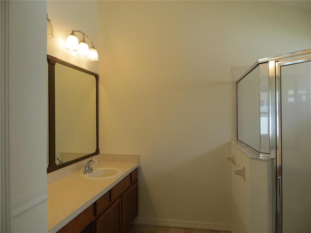1012 Torreya Way Odessa, FL 33556 - Photo 21 of 40 a bathroom with a granite countertop sink and a mirror