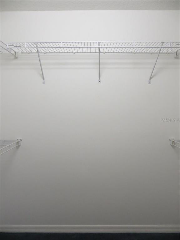 1012 Torreya Way Odessa, FL 33556 - Photo 25 of 40 a view of a room with racks on the wall