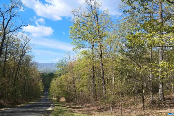 $109,900 | 0 Rockfish Heights Lane, Nellysford, VA 22958