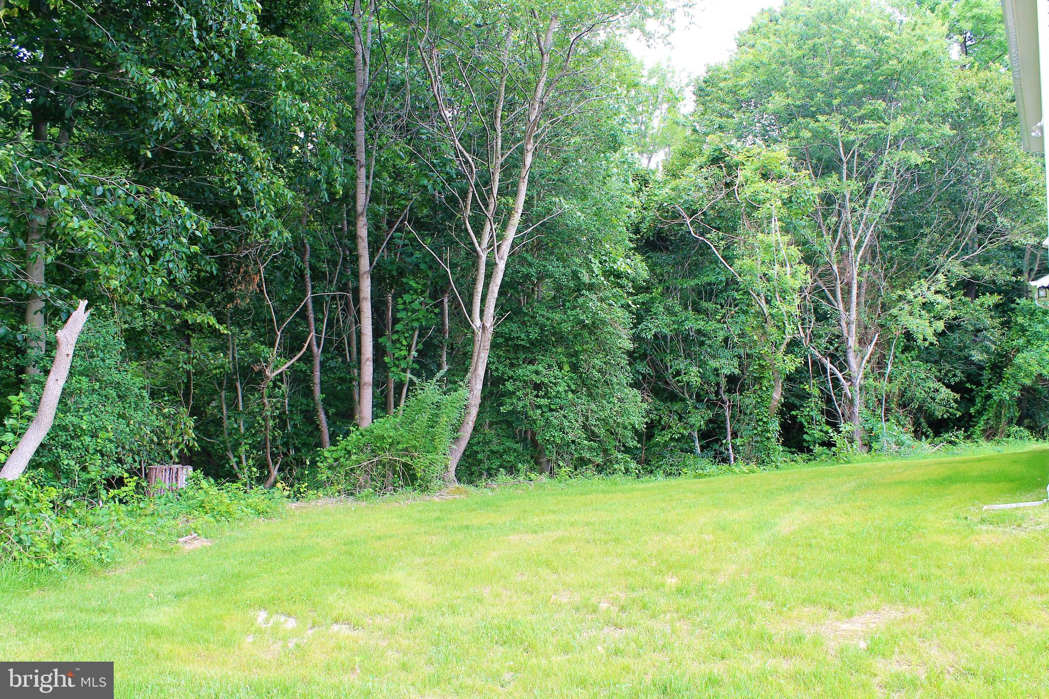 24706 Tribbett Circle Ridgely, MD 21660 - Photo 26 of 28 Gallery Image 26