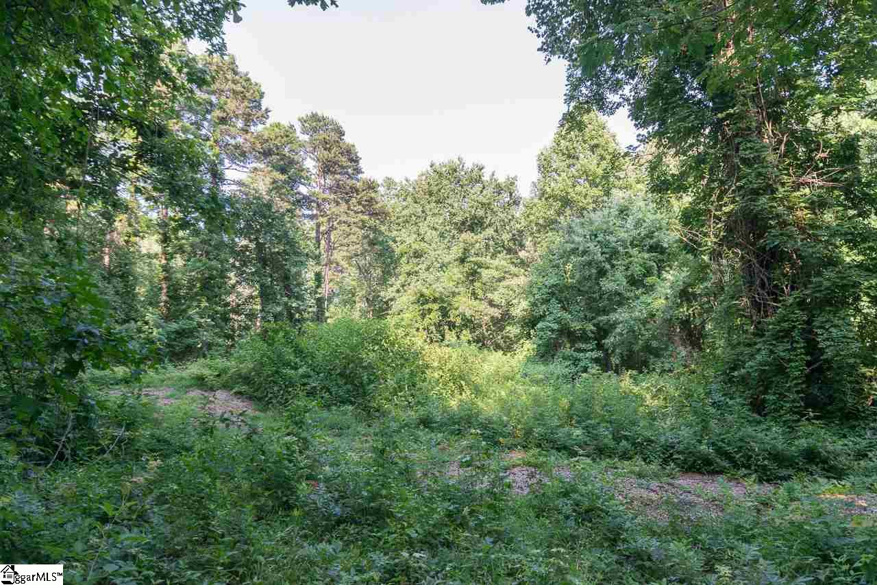 902 Roper Mountain Road Greenville, SC 29615 - Photo 12 of 13