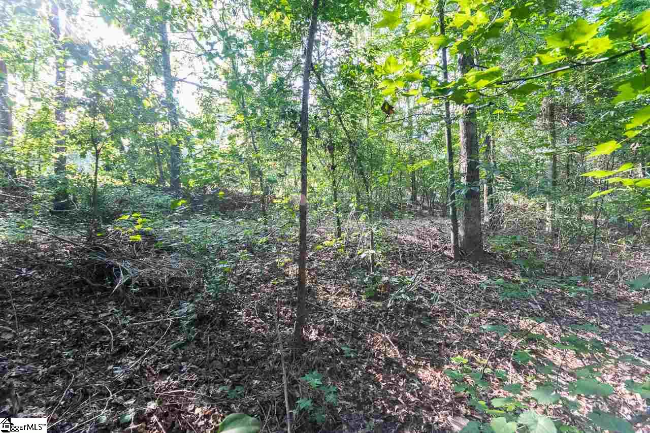 902 Roper Mountain Road Greenville, SC 29615 - Photo 10 of 13
