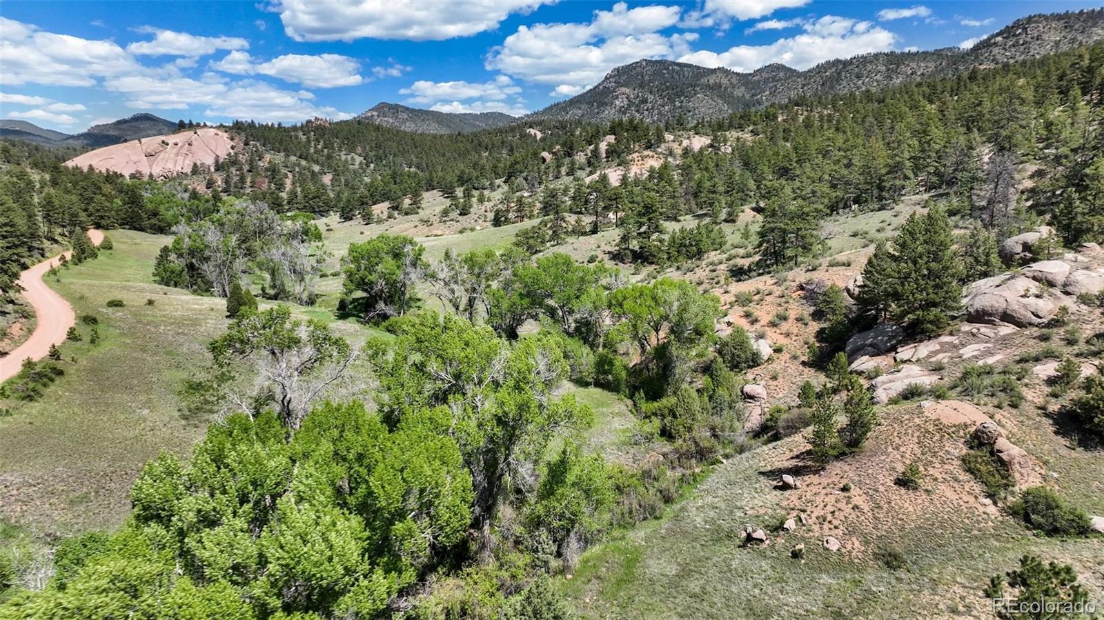 22511 Resort Creek Road Conifer, CO 80433 - Photo 5 of 50
