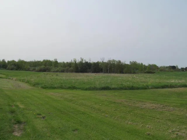 $24,900 | Lot #2 Hemlock Street, McBain, MI 49657