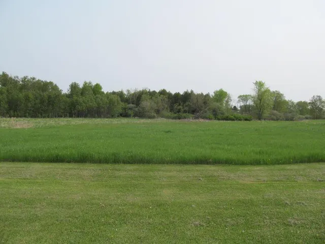 $24,900 | Lot #2 Hemlock Street, McBain, MI 49657