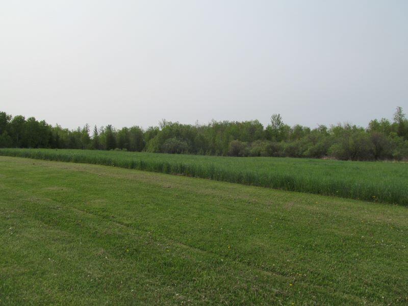 Lot #2 Hemlock Street McBain, MI 49657 - Photo 9 of 21 b10