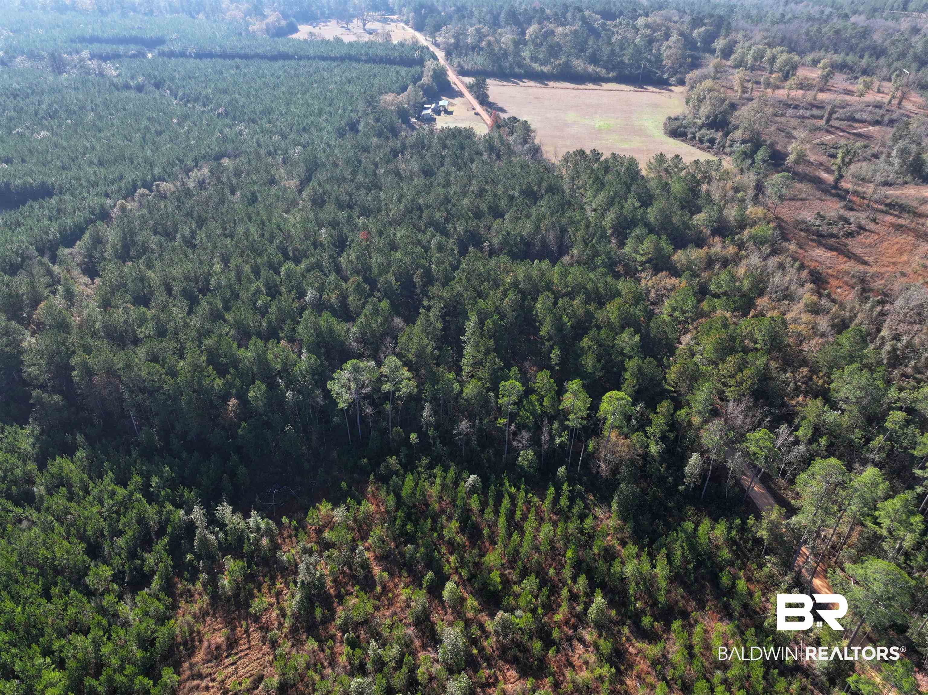 0 Judge Level Road Brewton, AL 36426 - Photo 9 of 9 Birds eye view of property